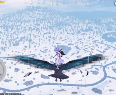 What happened to livik?