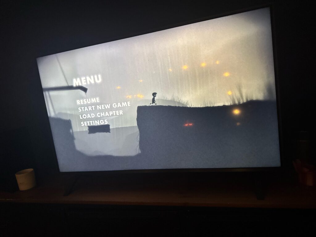 On this last day of Feb I will finally finish......