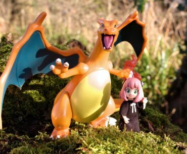 Happy Pokémon Day!⚡🐹