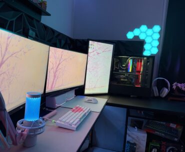 newest rendition of my setup, they kicked me out of r/averagebattlestaions so here i am🥲