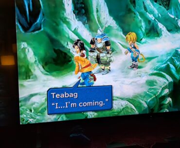 I solemnly swear to never mature.