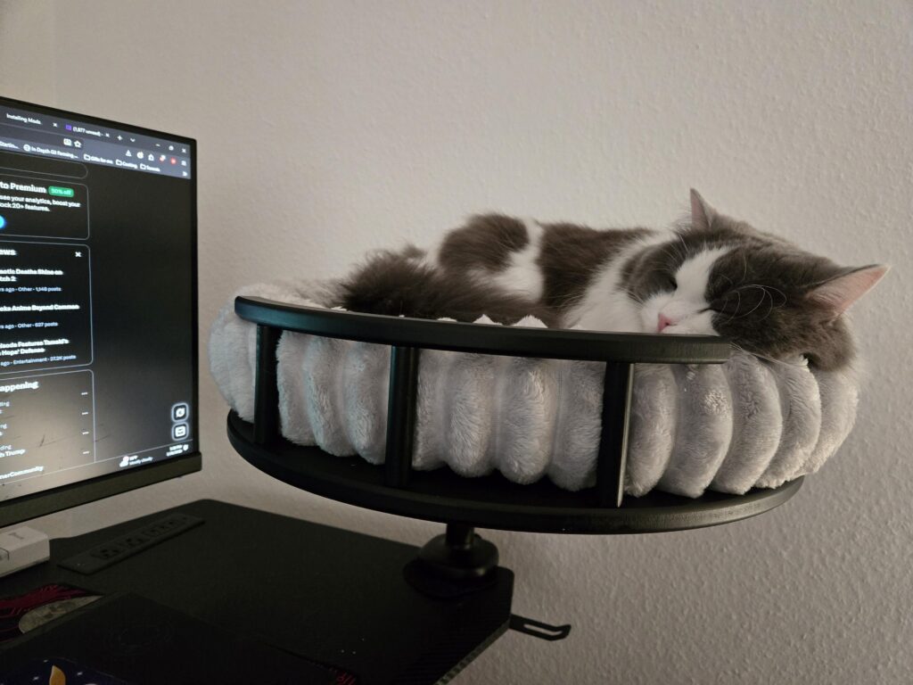 My kitty actually using her desk bed