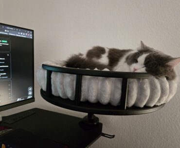 My kitty actually using her desk bed
