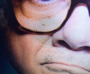 Ant Trapped Inside My Monitor