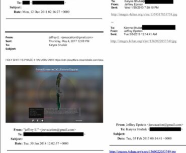Jeffery Epstein unboxed a $6485 CS:GO knife in 2017