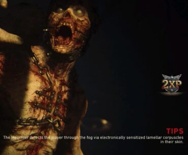 Unique tips in the loading screens for the Darkest Shore.
