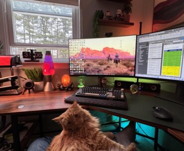 Afternoon vibes 🐱 🖥️ 🖥️