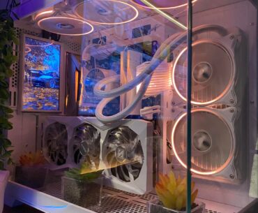 E ae galera, qual cor é a cara de vocês 😅🇧🇷