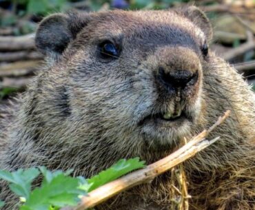 Microsoft admits Windows hibernation fix didn't fully work