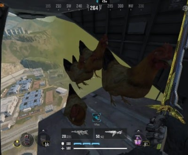 Dmz - Why am I herding chickens?