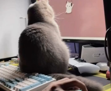 new friend from desktop