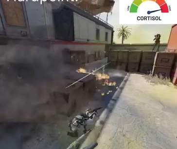 My low cortisol loadout to camp with man o war and striker in the corner 🤣