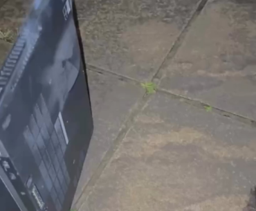 Was playing Red Dead Redemption 2 on ultra settings