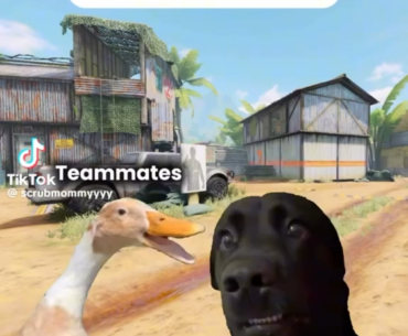 This is why I don't use mic