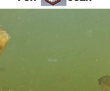 😐