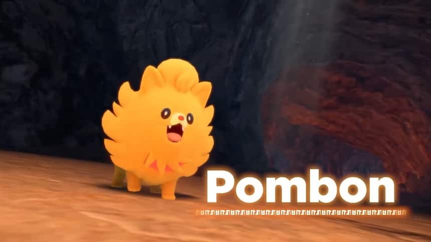 An orange pomeranian-like dog named Pombon. 