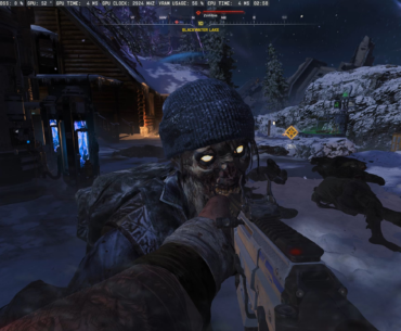 Call of duty Zombies Pc Bug?