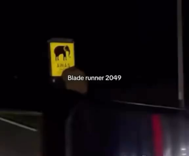 An elephant looking at blinking elephant warning sign