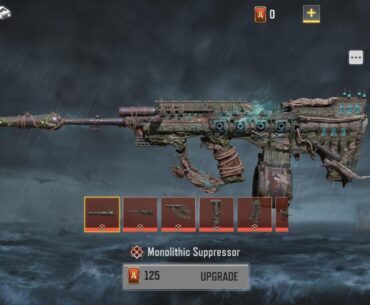 Thinking about upgrading it to level 1 — is it worth it?