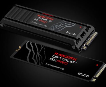 New Sandisk/WD Black Insanity