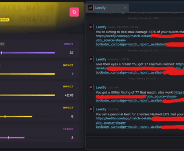 TIL: You get named "The Carry" on Leetify for 37 enemies flashed even if you bottom frag with <0.3 kd