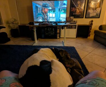 Gaming buddy (parker the doggo)