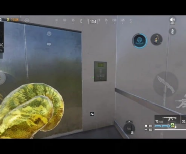 How to fix the elevator bug