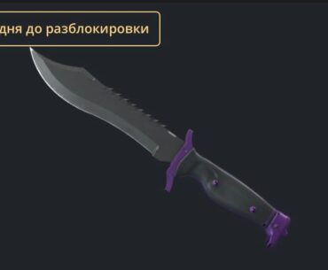 Which knife to choose?