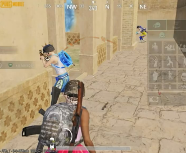 New bug discovered