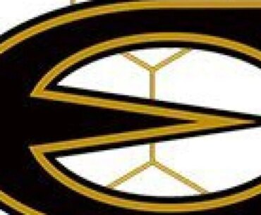 Lady Hornets Split First Two Games on Diamond in Arkansas