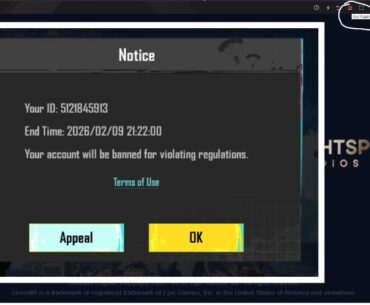 False Ban for 3rd Party Tools triggered by Gameloop