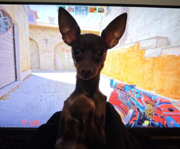 Do you guys like my new crosshair