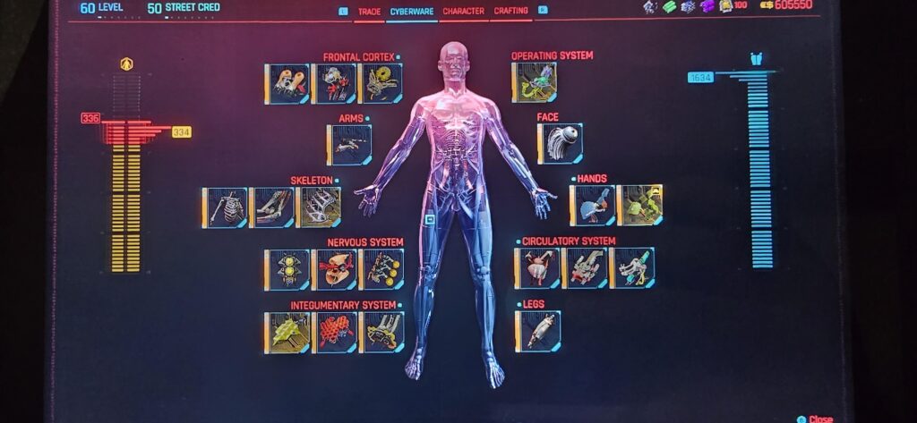 Pretty sure I am the cyberpunk