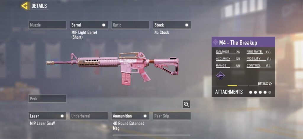 Are there any other epic skins that have the MW19-like appearance?
