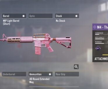 Are there any other epic skins that have the MW19-like appearance?