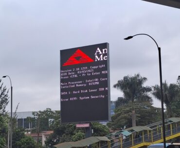 Seen in the wild