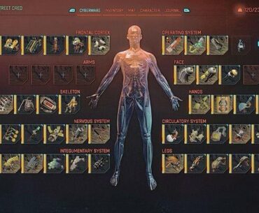 POV: You take full body conversion to literally.