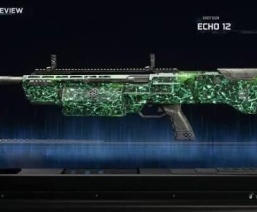 Just got the weaponized 115 Echo 12 prestige master Camo
