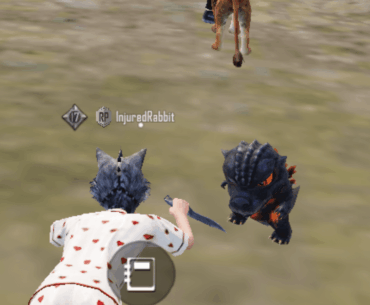 I'm so jealous of people with cool skins and companions. I be too broke for this
