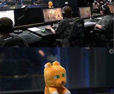 Do you guys know if TO's metal detect/scan the players' plushies at events?