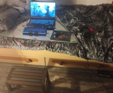 My proudest one, it's absolutely glorious