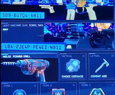 [COD] Warzone Build "Thunder and Reign"