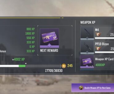 Weapon won't rank/xp up