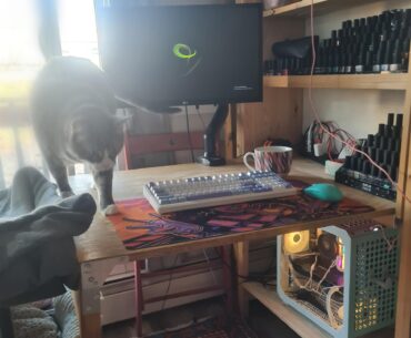 My battle station is also my nailpolish station and the cats fav hang spot