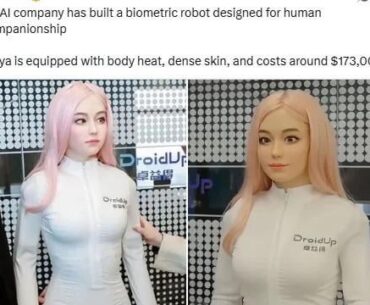 The commercialisation of sex has now been completely outsourced to robotics.