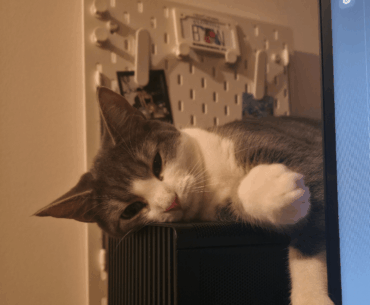 Post your gaming buddies!