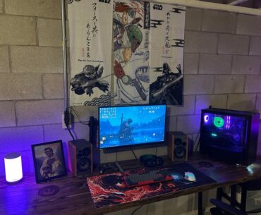 Basement Battle Station