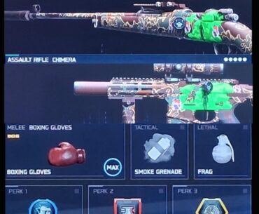 [COD] Warzone Build - "Long Grass"