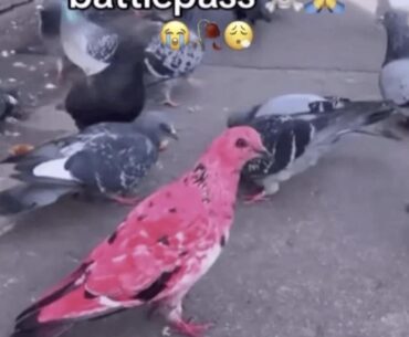 🤣🤣🤣