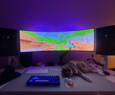 Does anybody else have cats that love to lay on your mousepad?